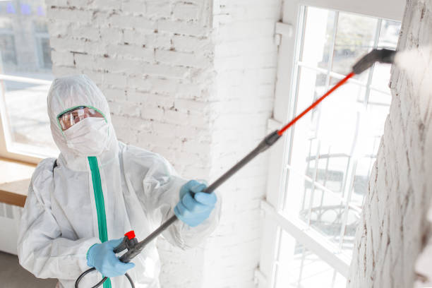 Best Indoor Air Quality Assessment  in North Terre Haute, IN