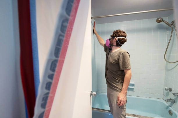 Best Mold Damage Restoration  in North Terre Haute, IN