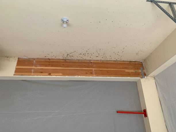 Best Post-Remediation Verification Testing  in North Terre Haute, IN
